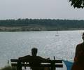 Blick über den Langener Waldsee