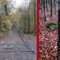 Slider Schäden und Gefahren im Wald