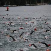 Schwimmstart Ironman 26. Juni 2022 am Langener Waldsee - Das Feld der Athleten im Wasser
