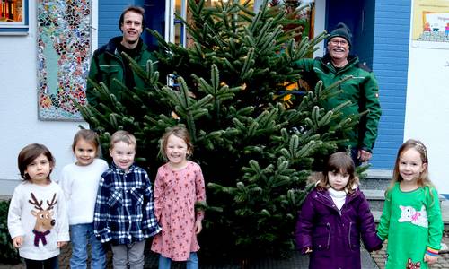 Peter Hubeler spendet Weihnachtsbäume für Kitas