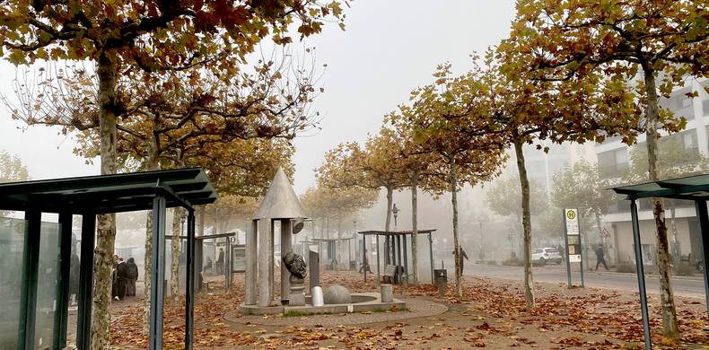 Platanen am Europaplatz