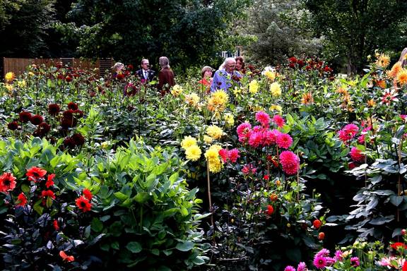 Schloss Wolfsgarten Gartenfest