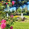 Schmetterlingsgarten auf dem Friedhof