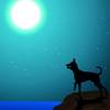 bilderbuchkino der mondhund