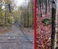 Slider Schäden und Gefahren im Wald