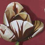 Solly Guigui 3 tulpen 60x120